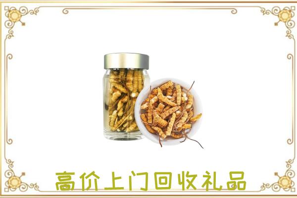 中卫周边回收虫草
